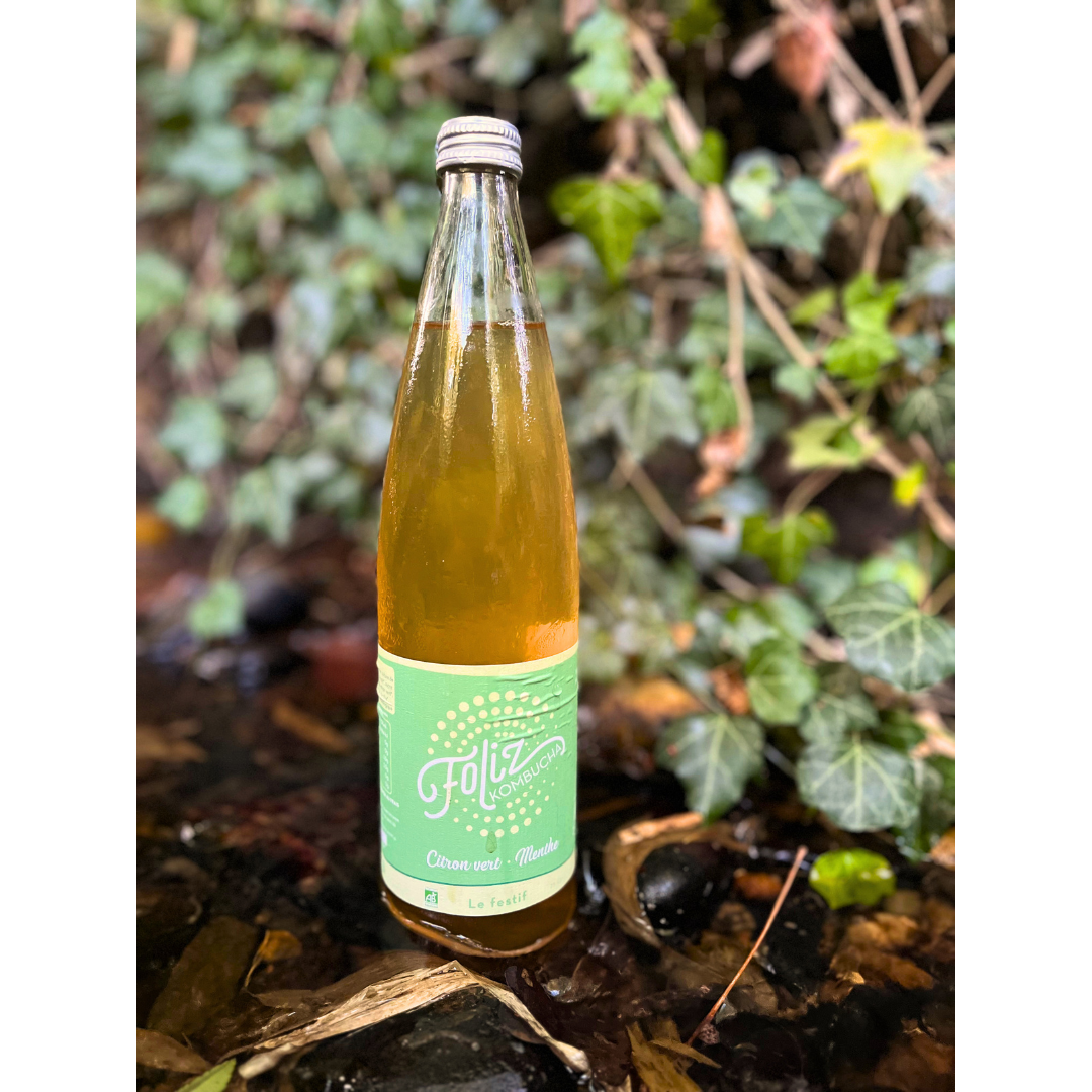 Foliz, Le festif, kombucha citron vert - menthe