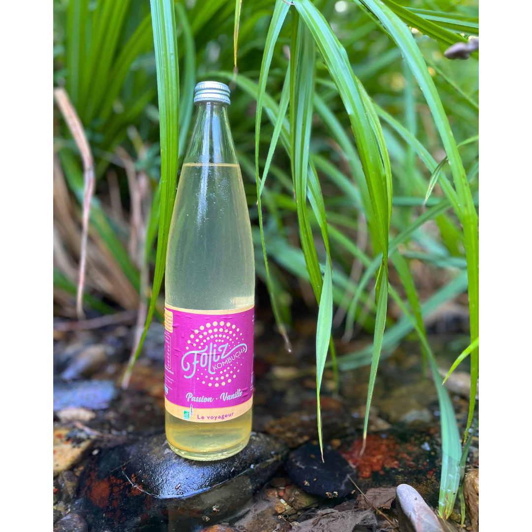Foliz, Le voyageur, kombucha passion-vanille