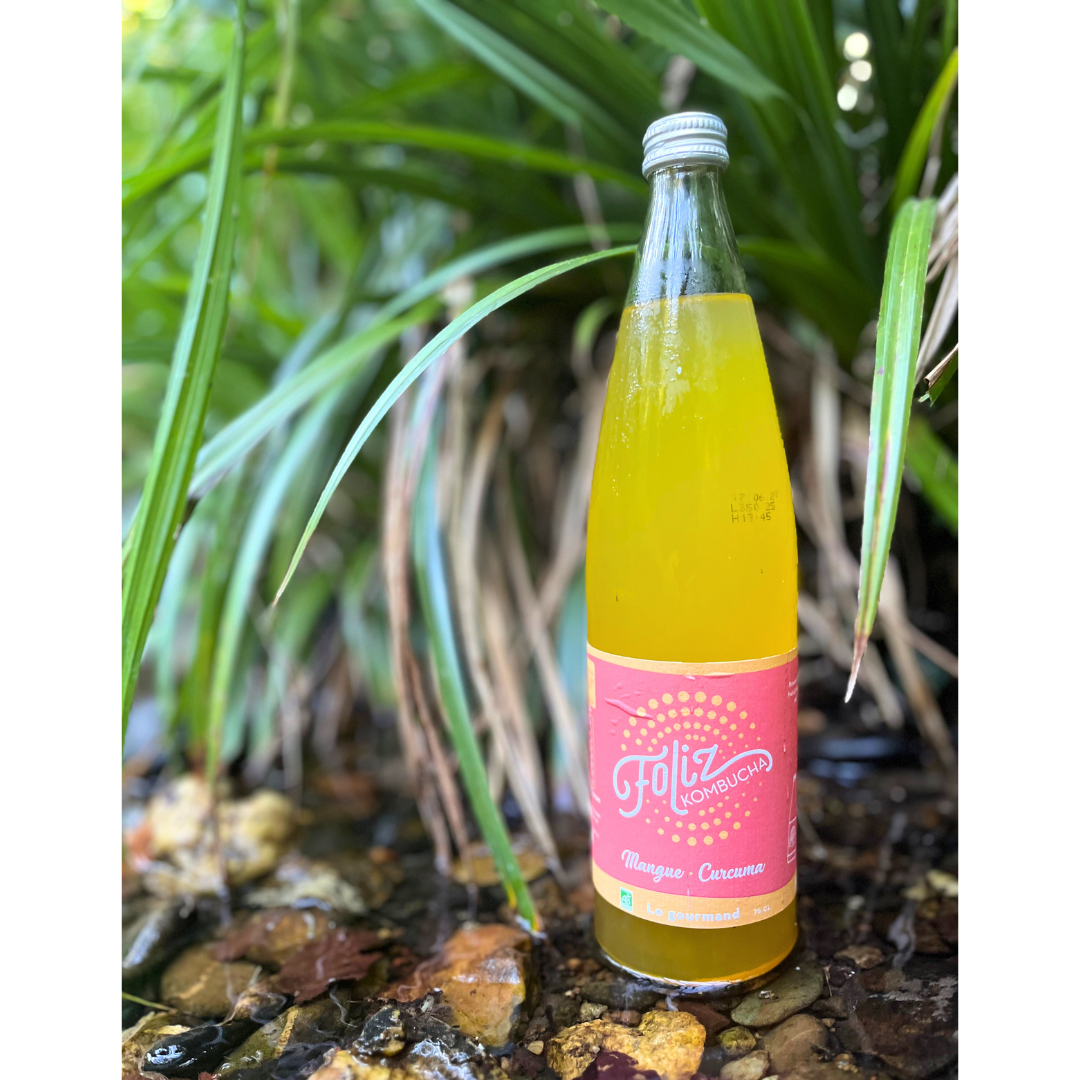 Foliz, Le gourmand, kombucha mangue-curcuma