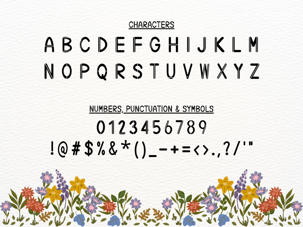 C2 Stripe | Handwritten Font