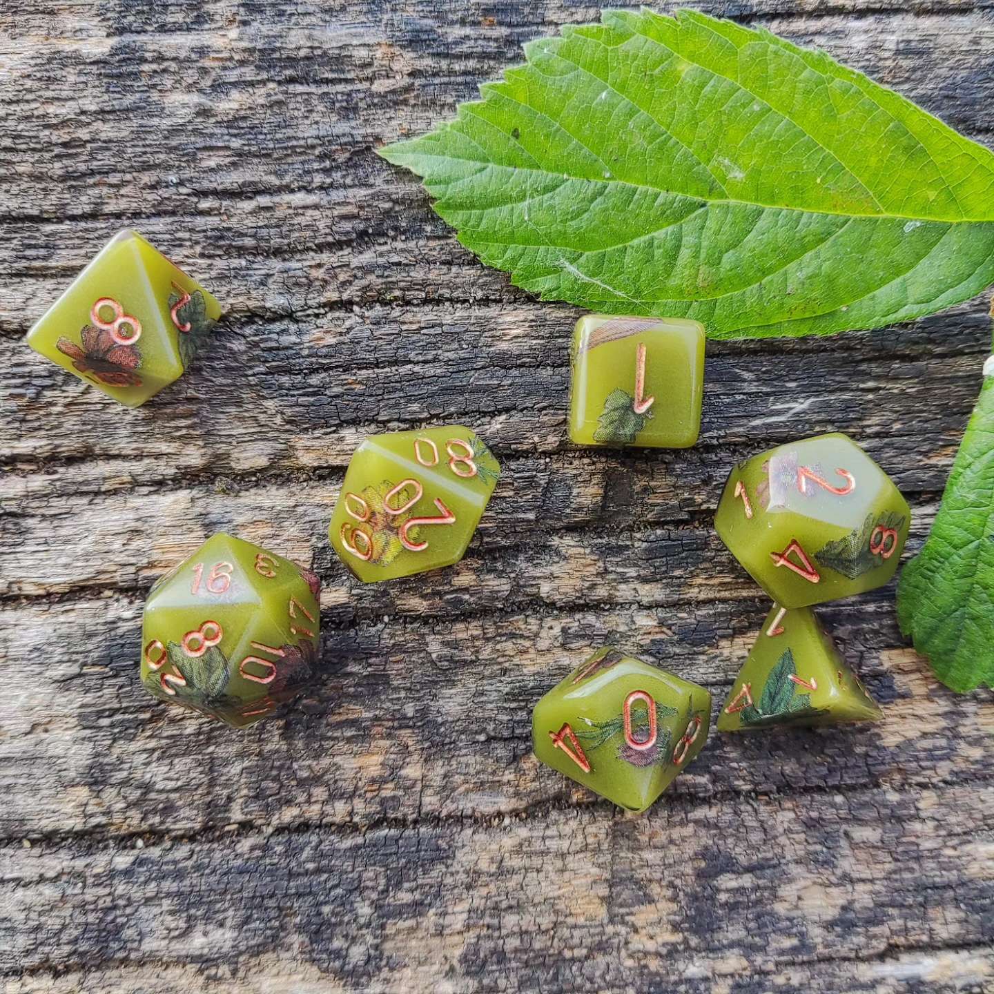Dés RPG : collection forestière