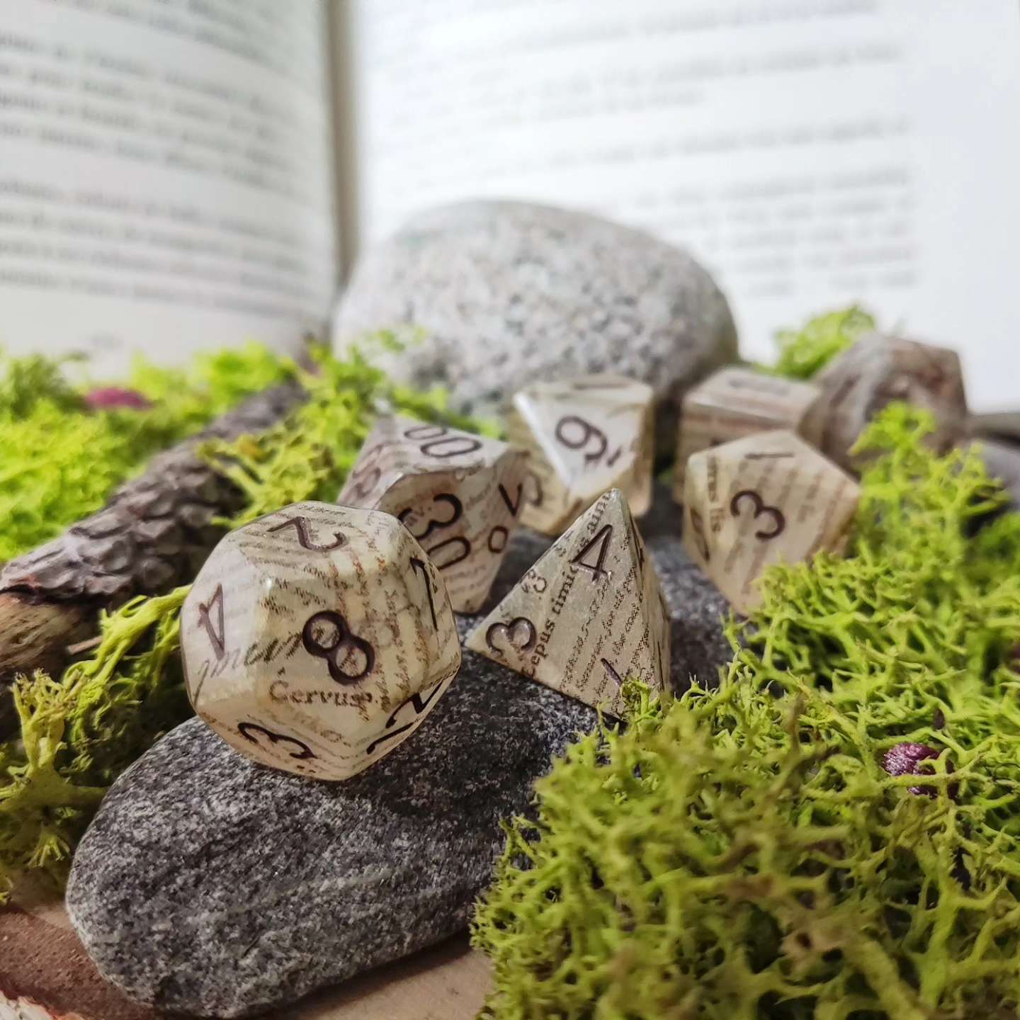 dés RPG : collection journal