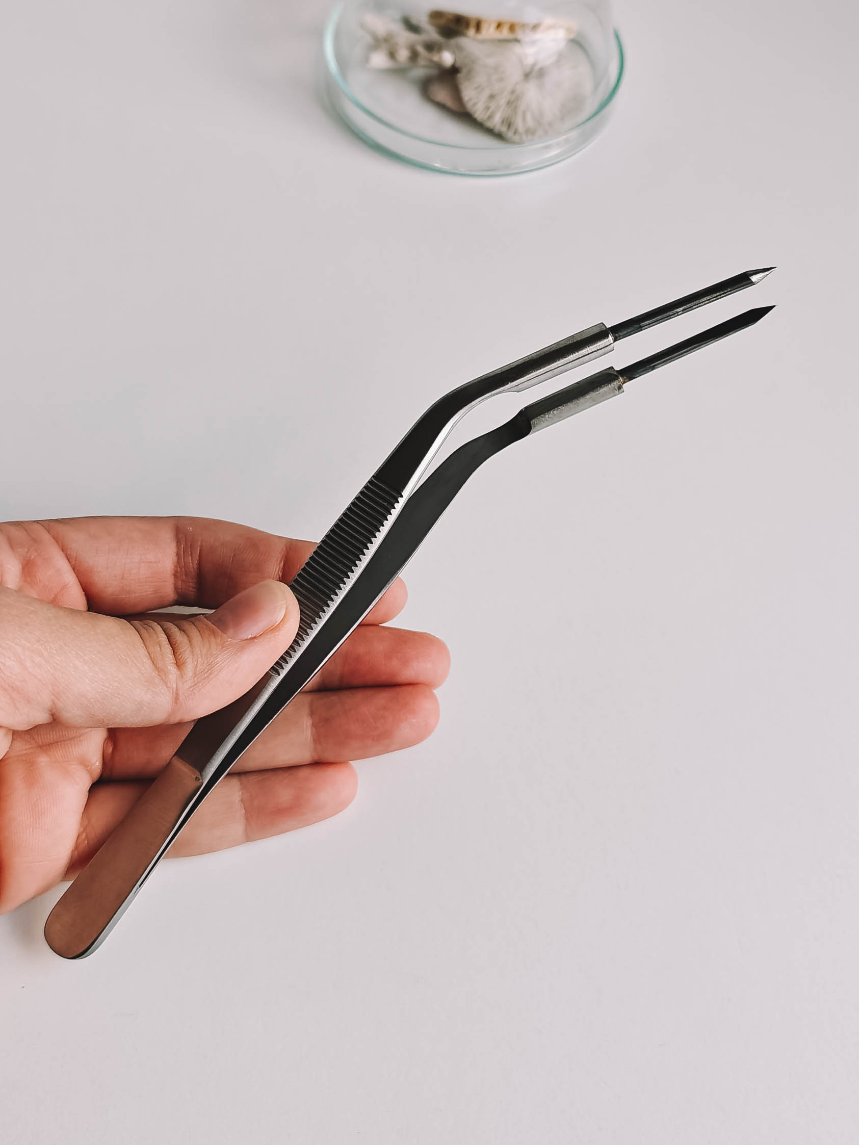 Curved Tungsten Tip Tweezers