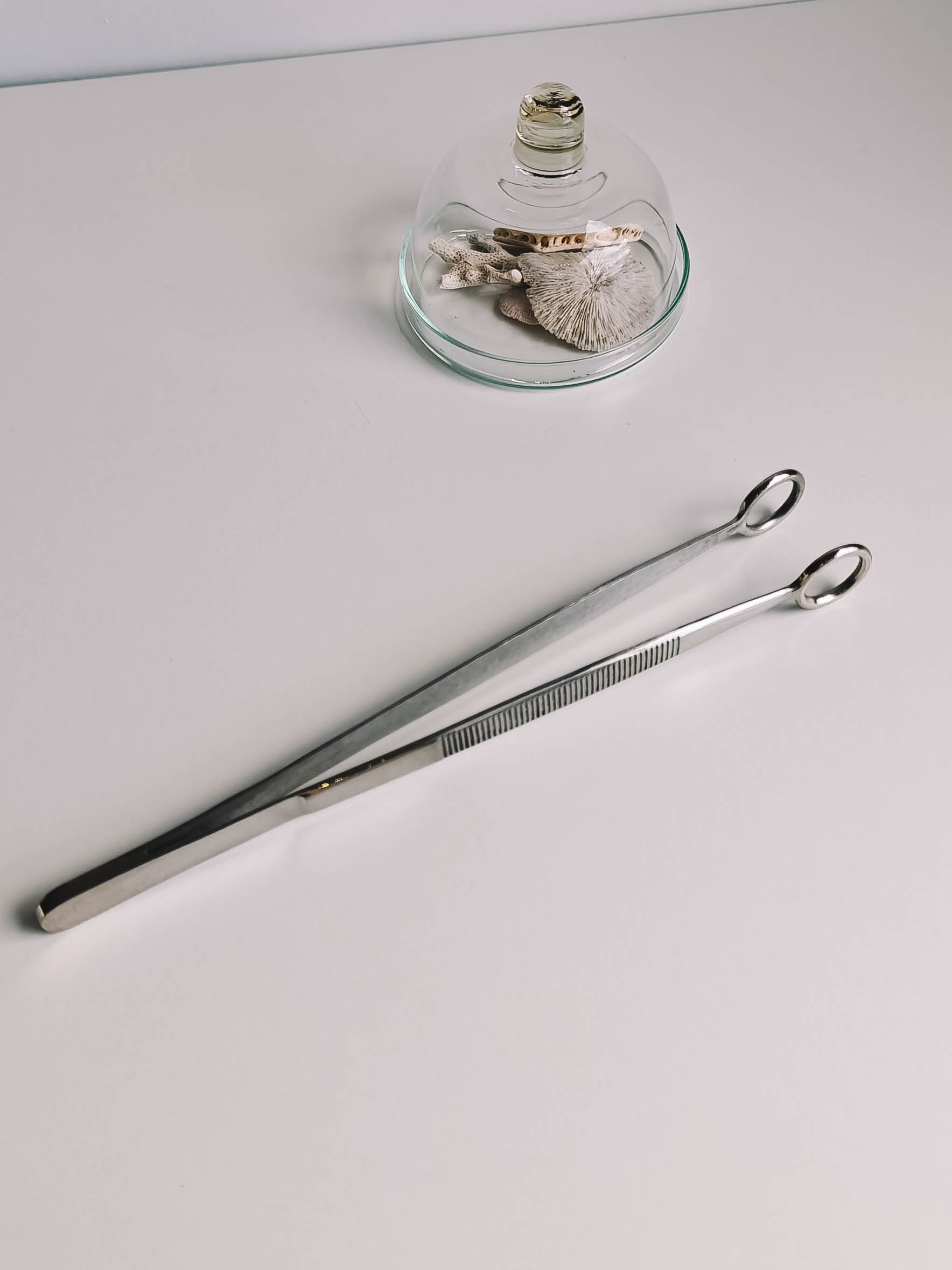 Ring tweezers 