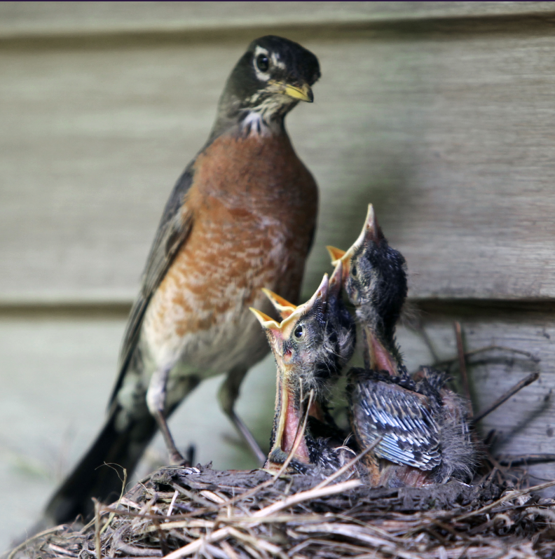 Caring for Caregivers Support Group Community