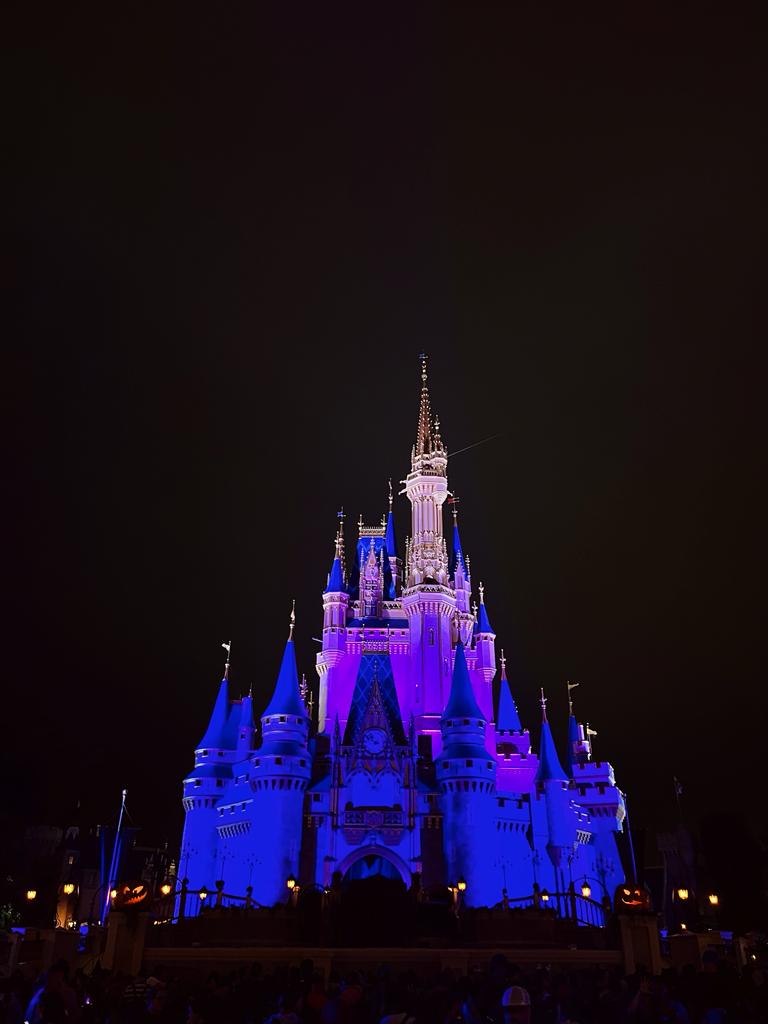 Guia: Magic Kingdom