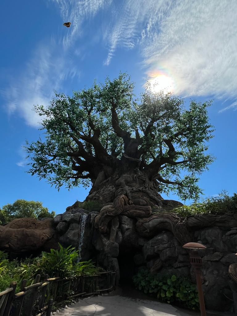 Guia: Animal Kingdom