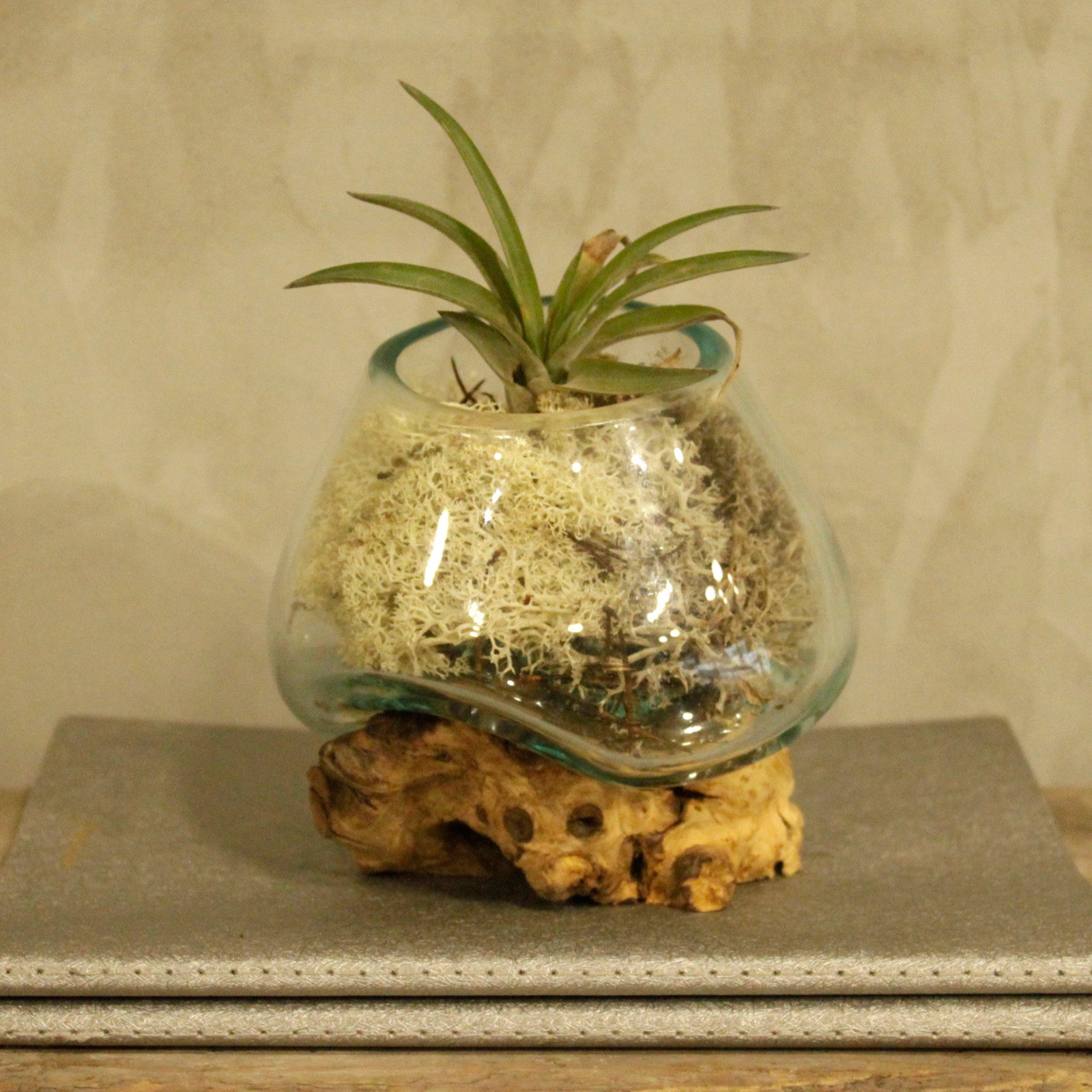 Vase en verre soufflé sur bois rustique - DECO AUTHENTIQUE  - Petit format 