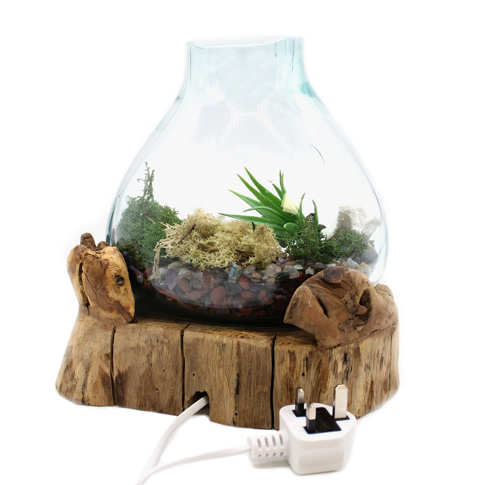 Grand aquarium lumineux en verre soufflé sur bois rustique - DECO AUTHENTIQUE - 30 cm