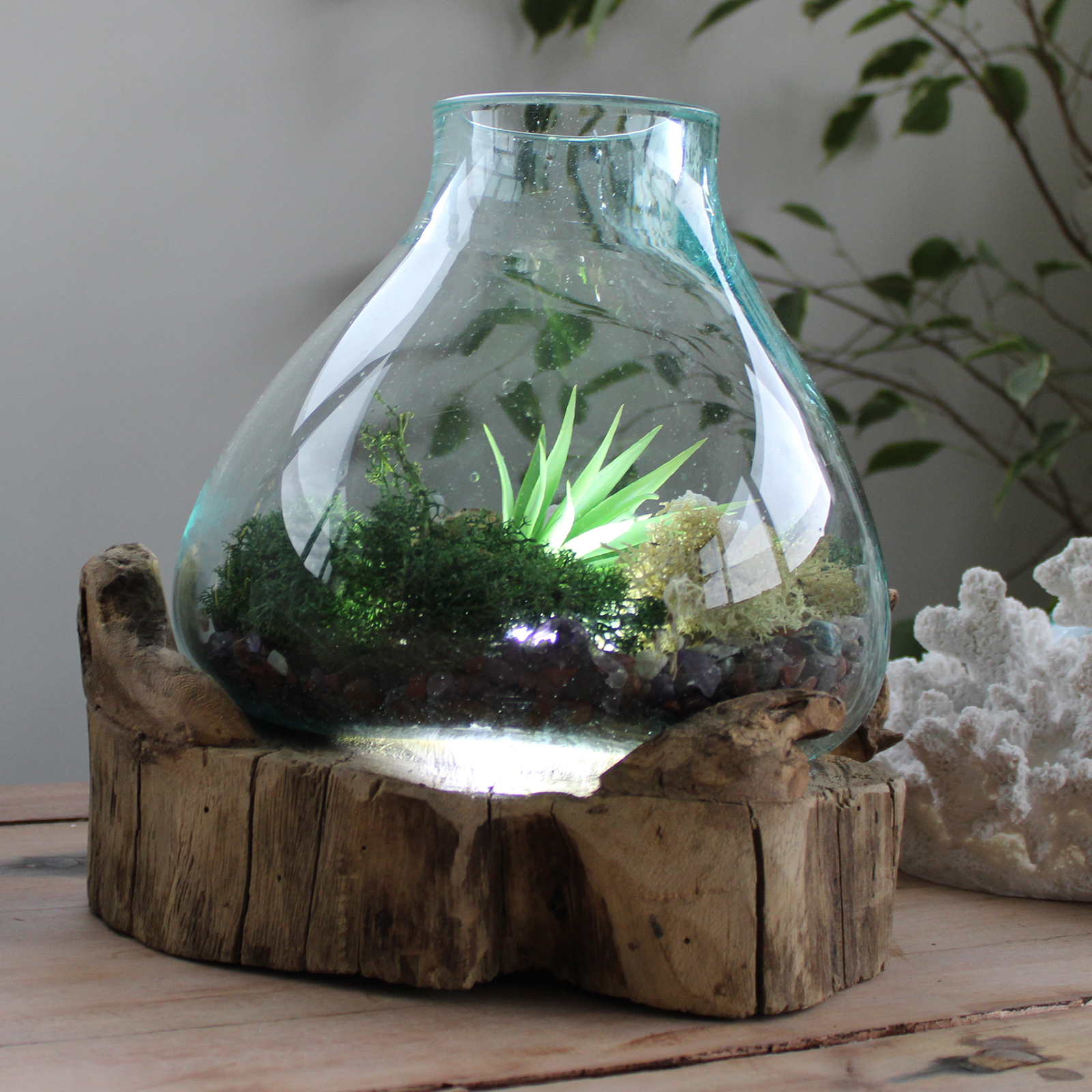 Grand aquarium lumineux en verre soufflé sur bois rustique - DECO AUTHENTIQUE - 30 cm