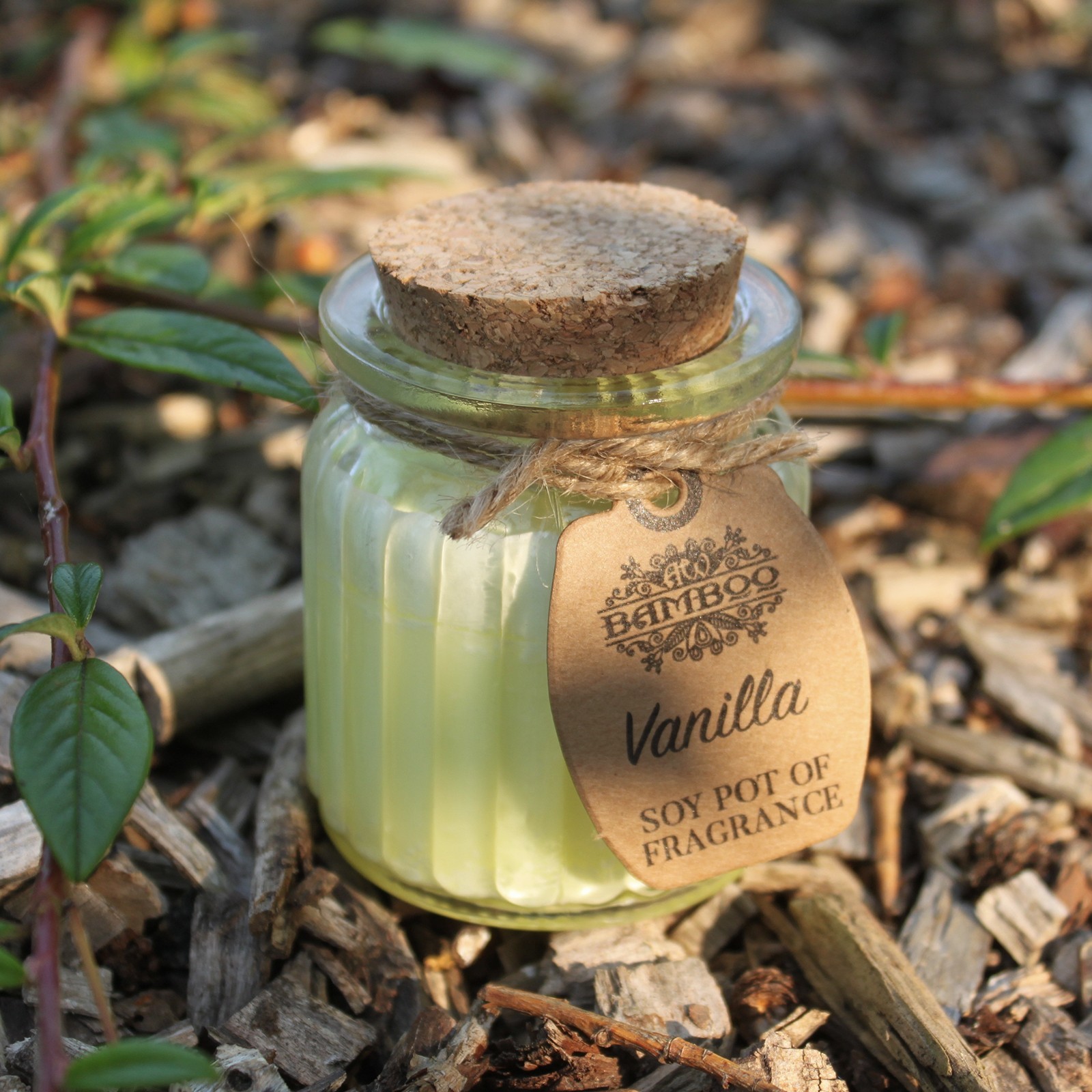 Bougie de soja parfumée– Vanille