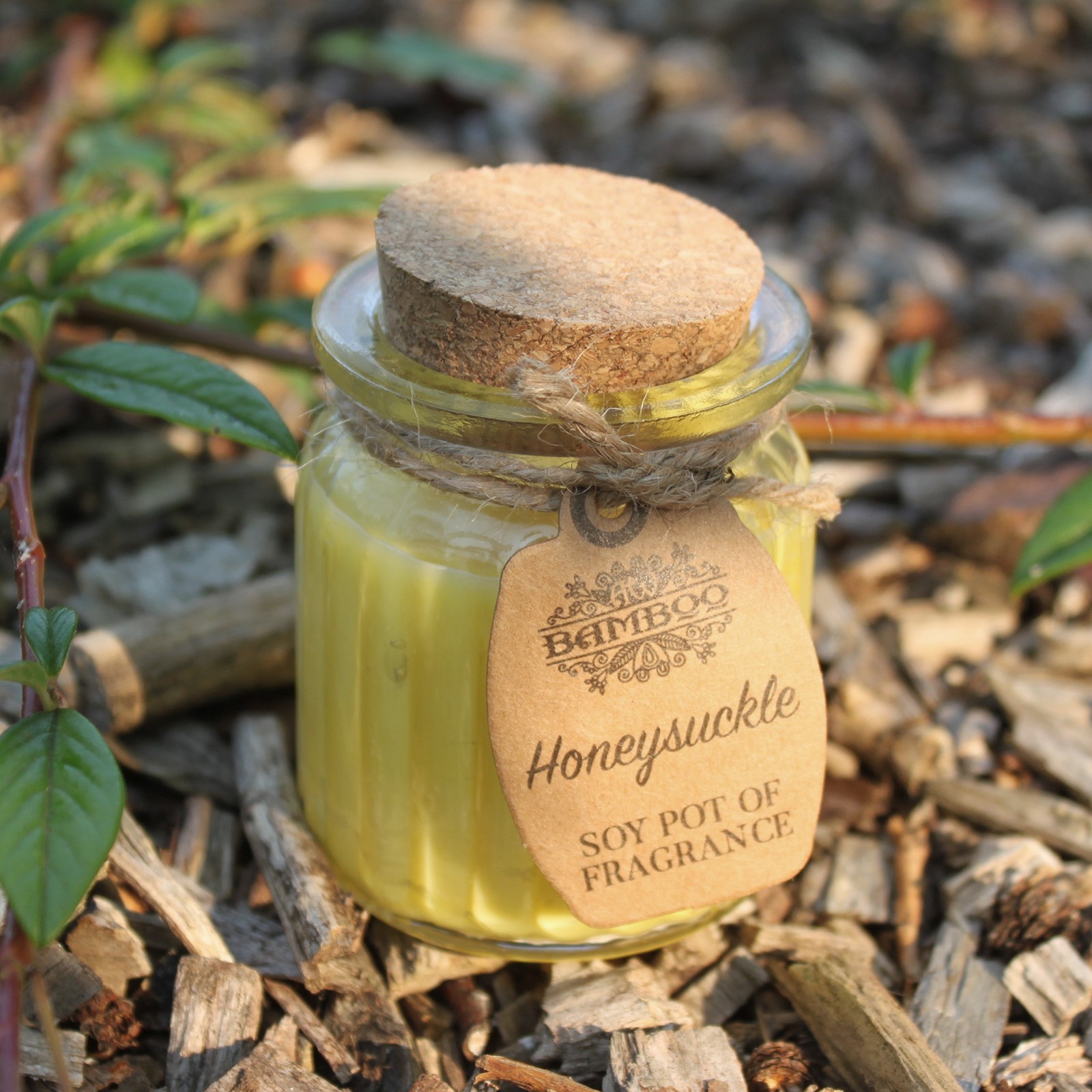 Bougie de soja parfumée – Chèvrefeuille