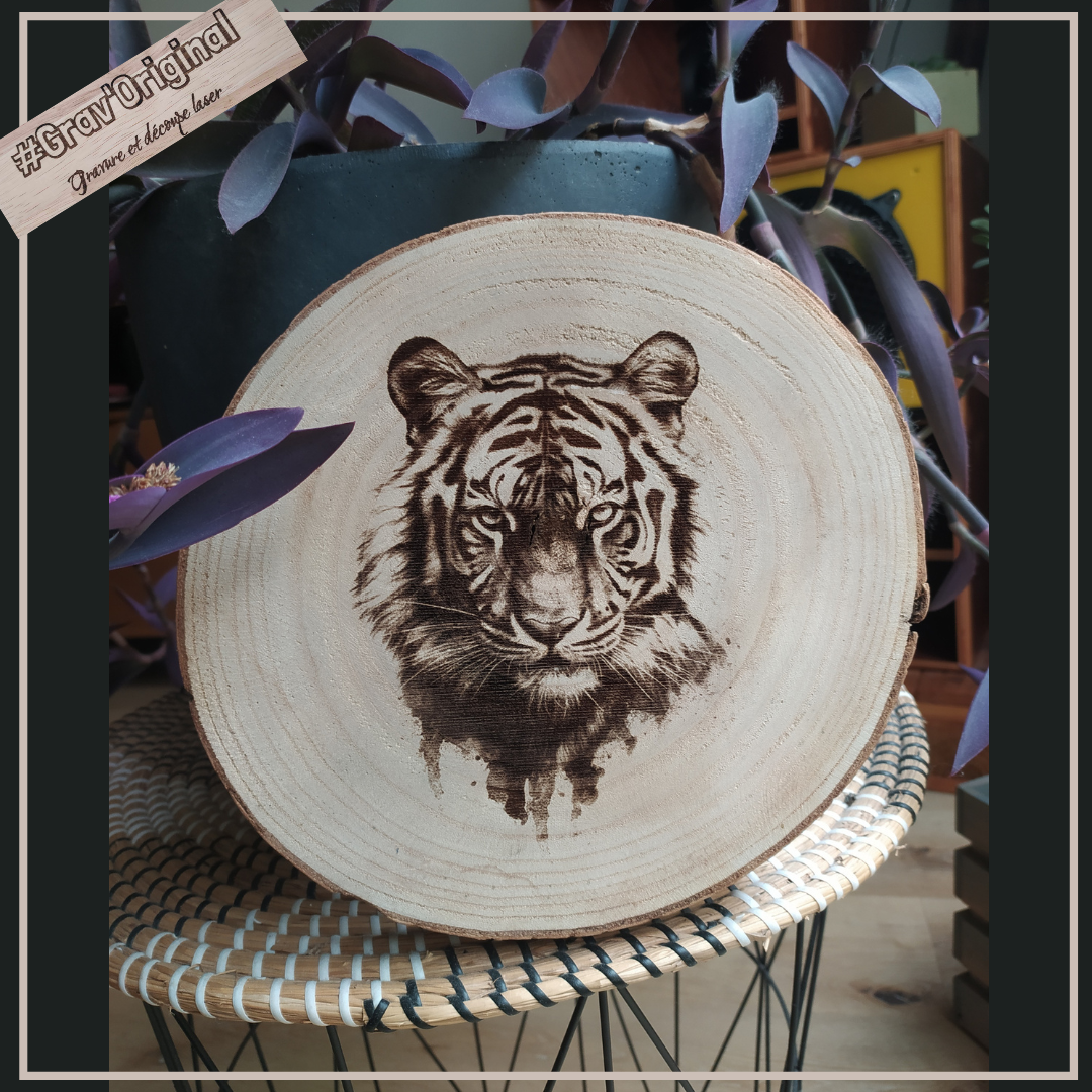 tête de tigre sur rondin de bois 