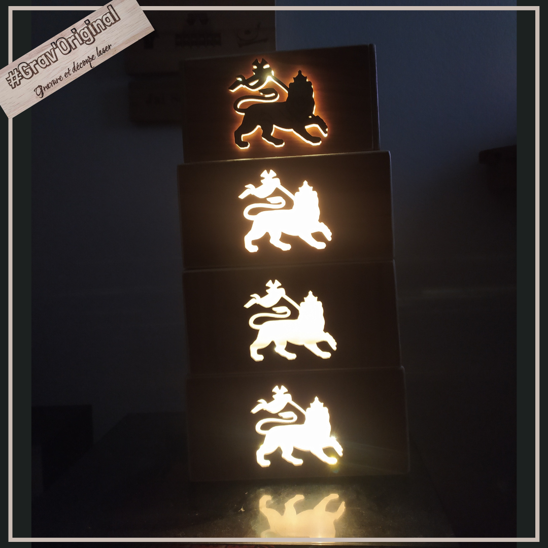 Boîte lumineuse / light box "lion of judah"