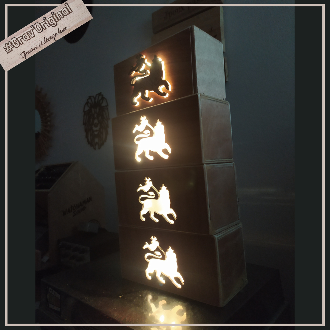 Boîte lumineuse / light box "lion of judah"