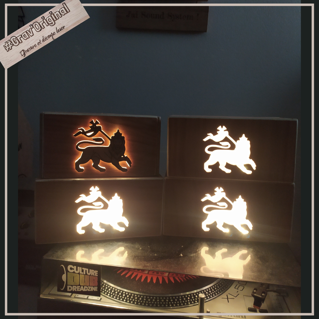 Boîte lumineuse / light box "lion of judah"