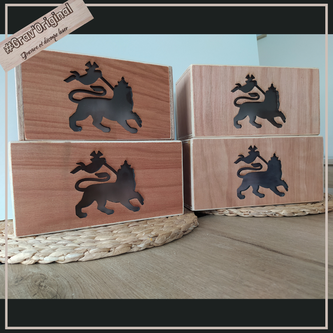 Boîte lumineuse / light box "lion of judah"