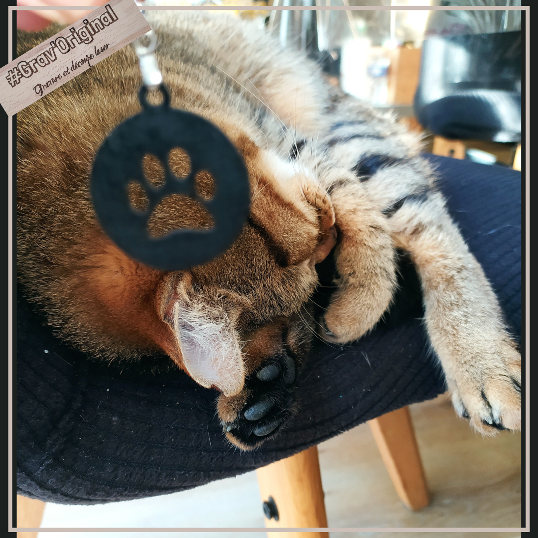 Boucles d'oreilles "patte de chat" - en bois ultra légère 