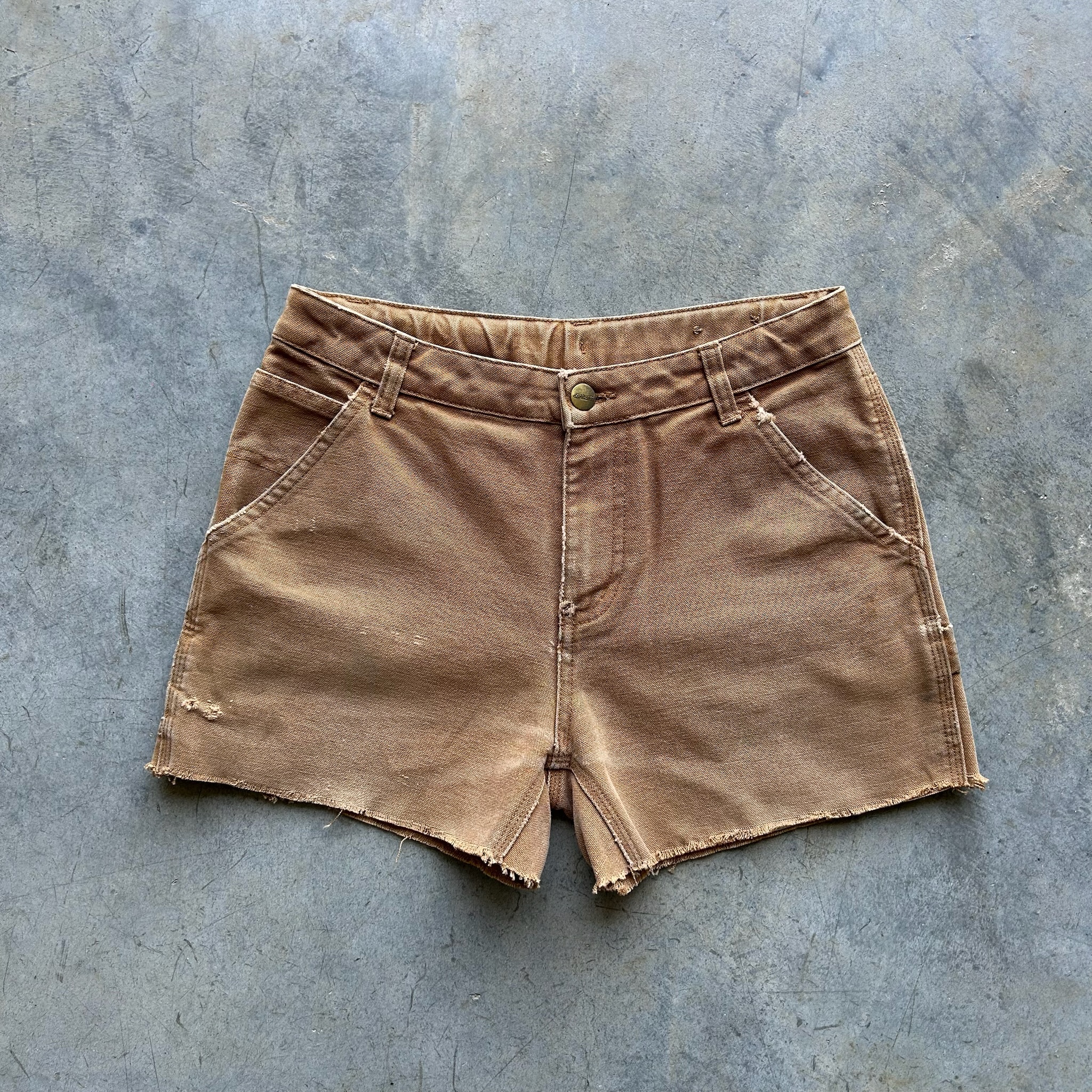 Carhartt Shorts (W27)