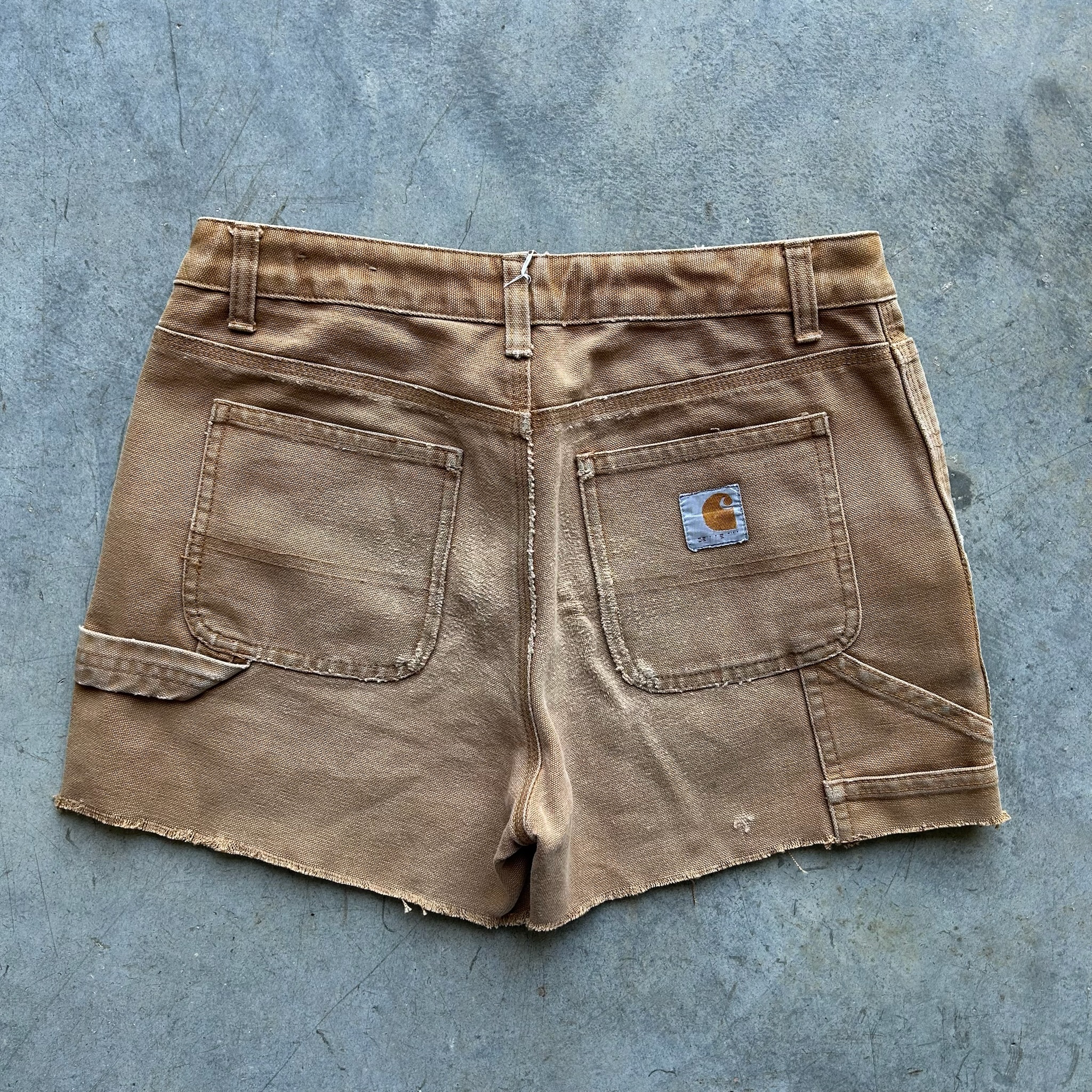 Carhartt Shorts (W27)