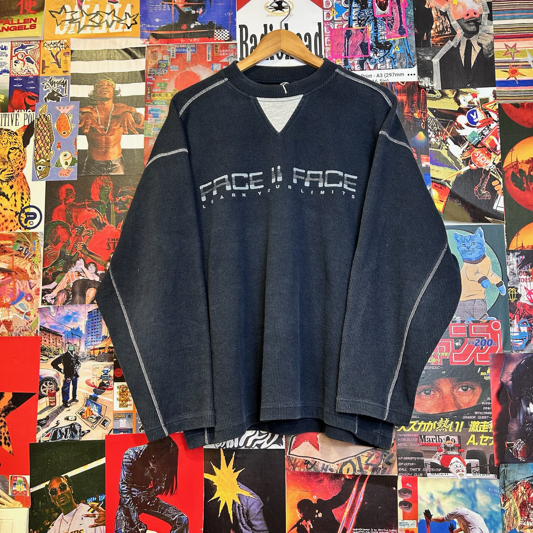 Vintage Long-Sleeve (L)