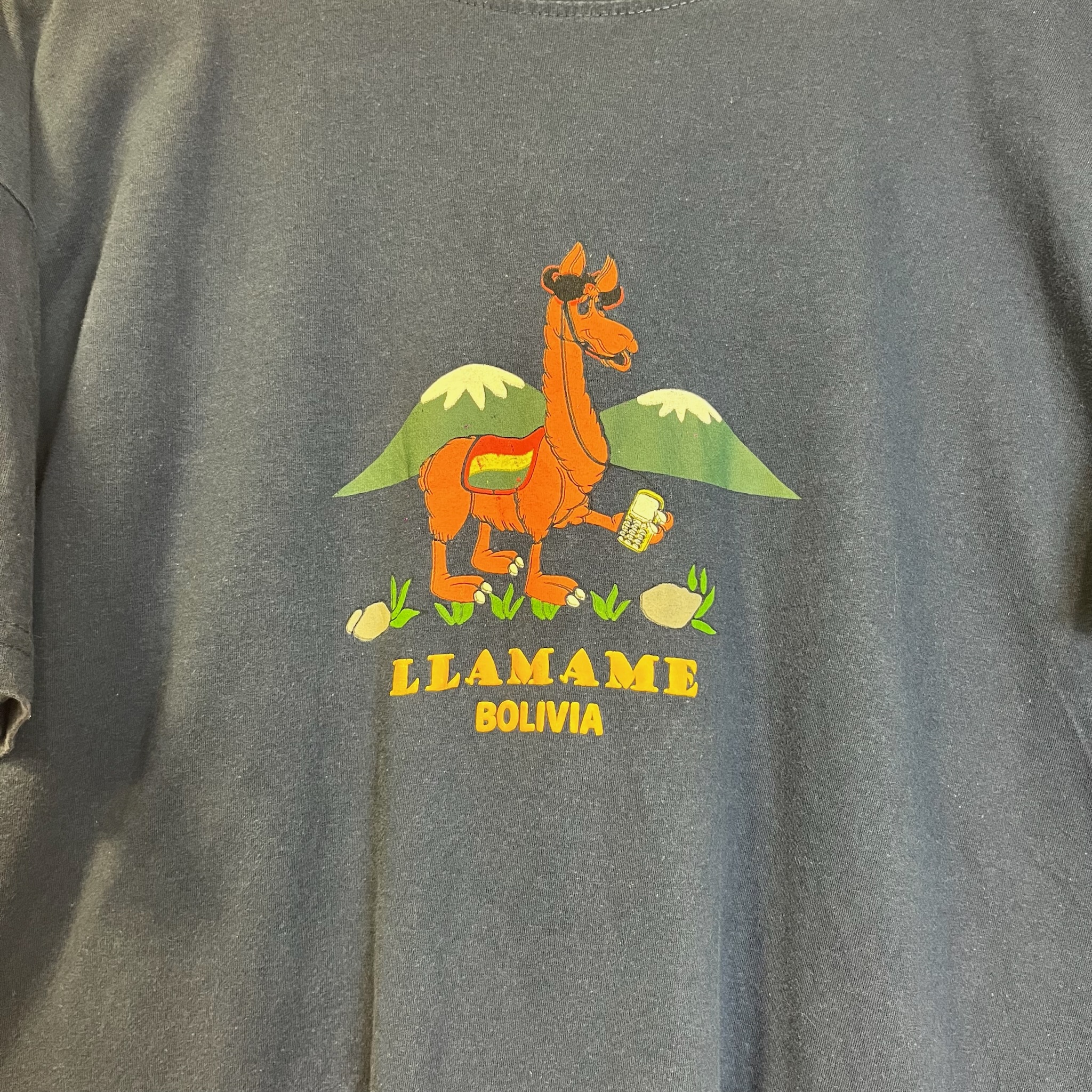 Vintage Graphic Tee (S)