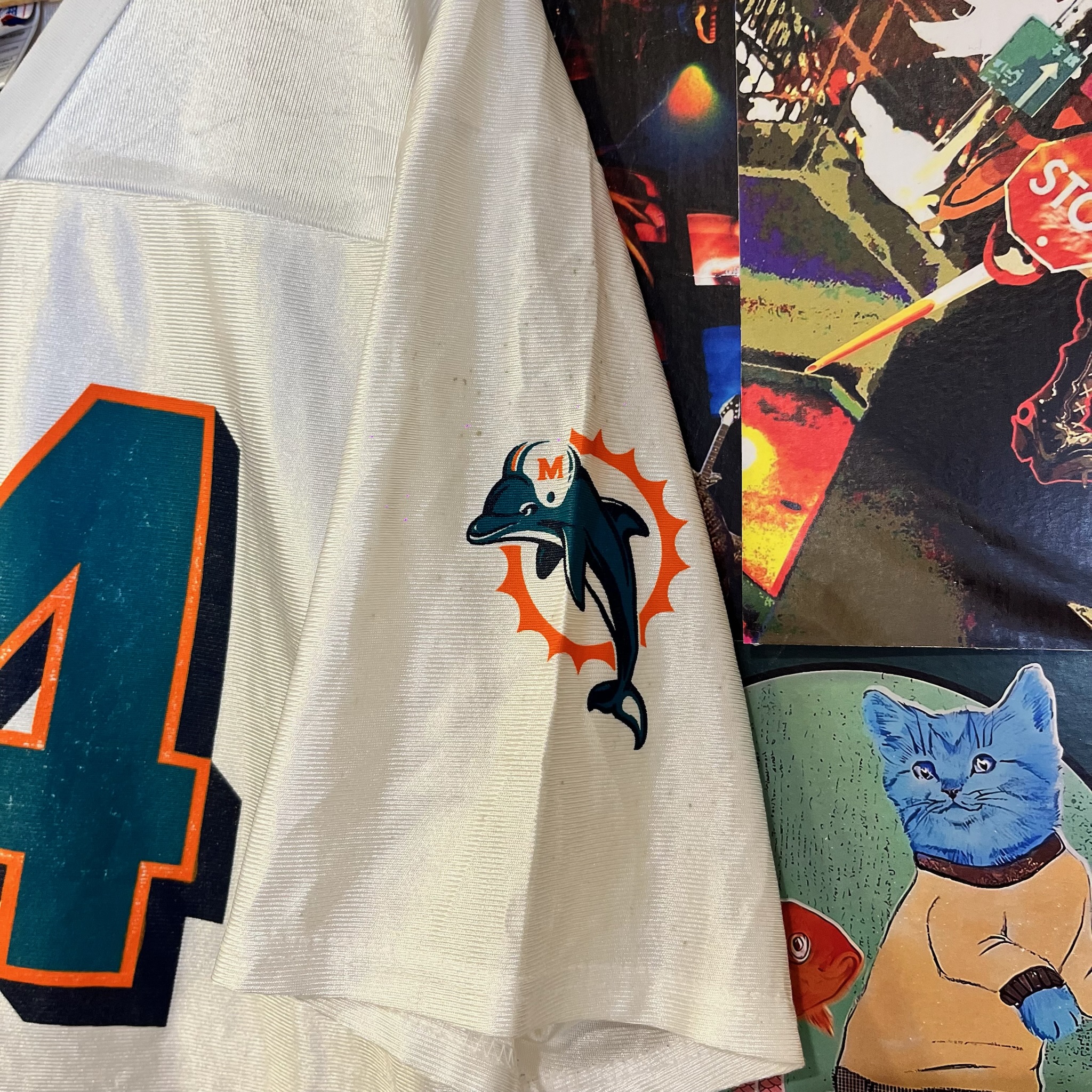 Vintage Miami Dolphins NFL Tee (L)
