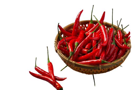Fresh Red Chili Peppers