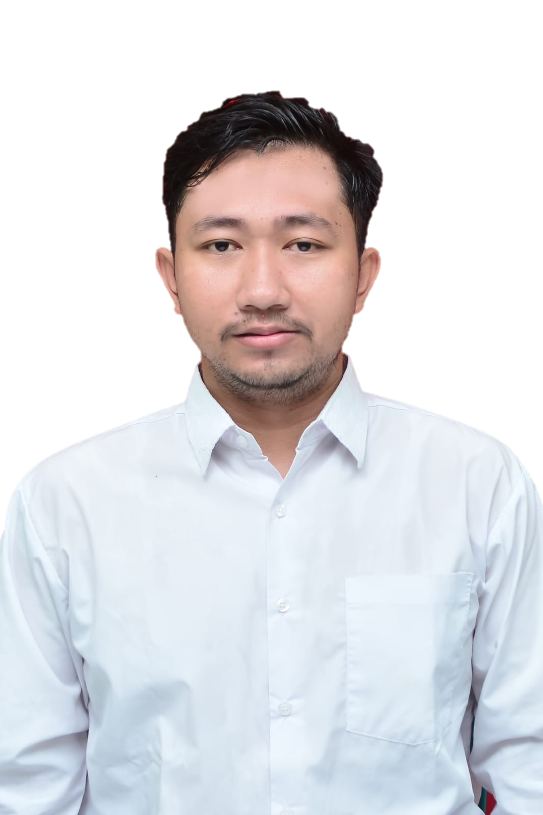 Dany Iswanto