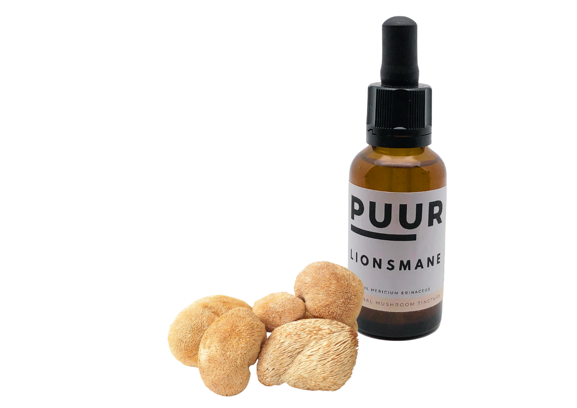 Lionsmane (Pruikenzwam)