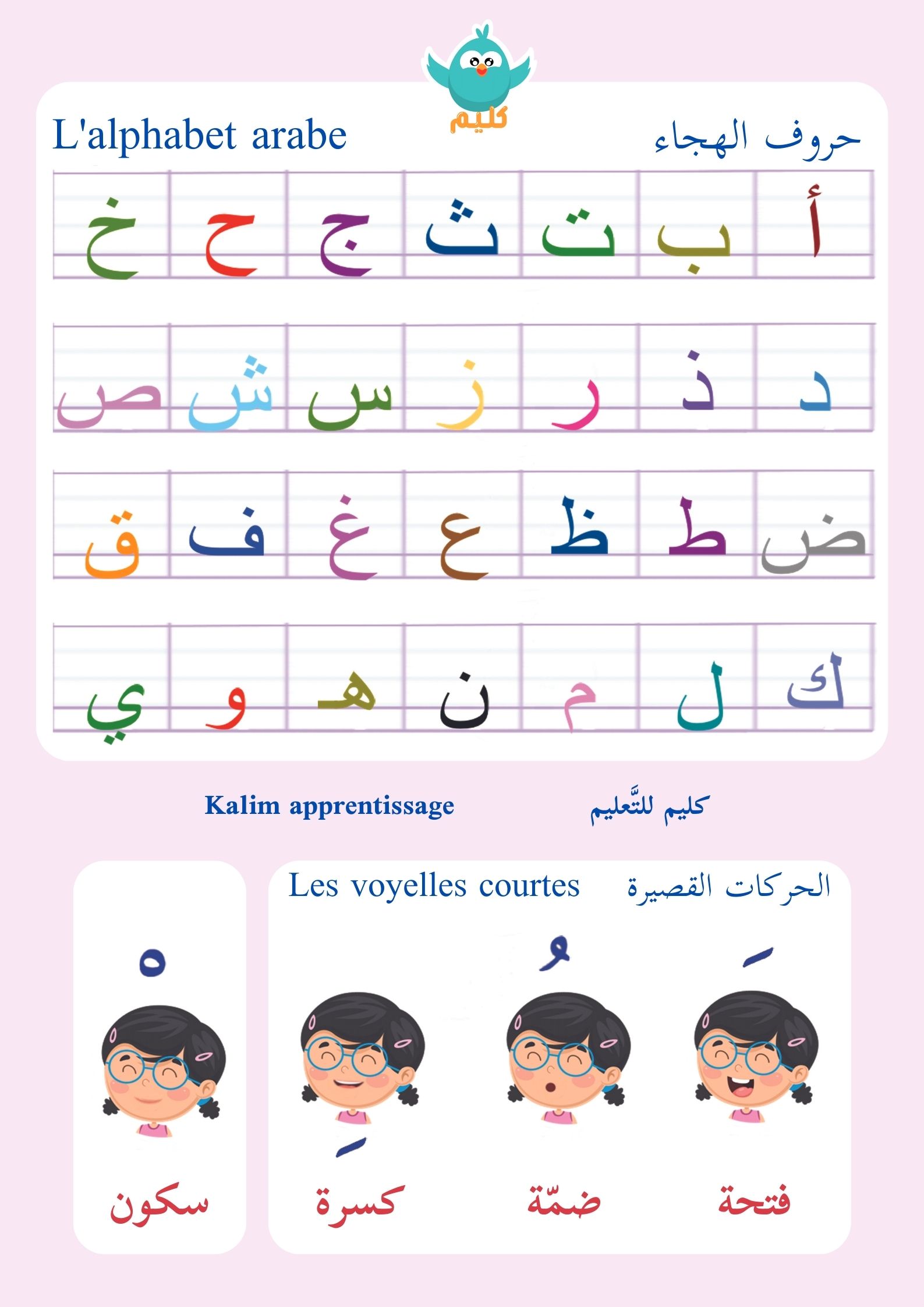 POSTER A2 LETTRES ARABES ET VOYELLES COURTES ROSE