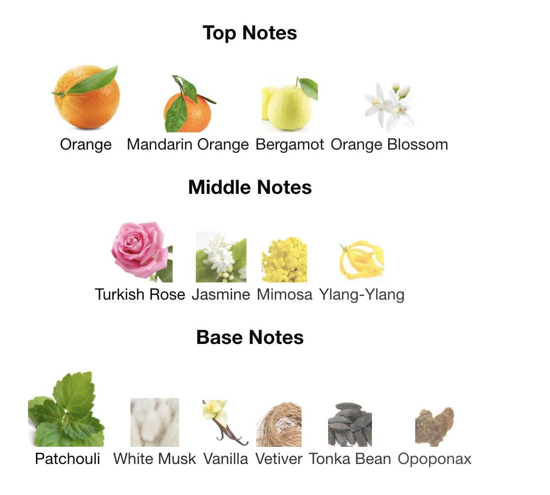 KADIN-S102 INSPIRED BY CHANEL COCO MADEMOISELLE (100 ML)