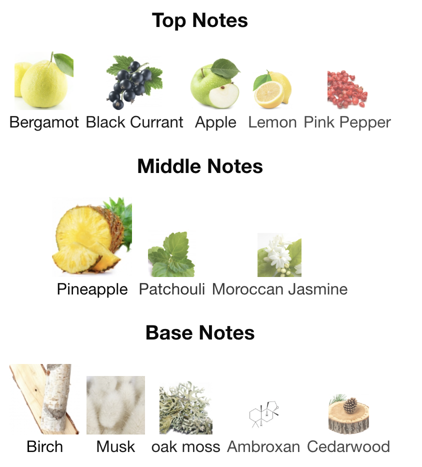 ERKEK-S110 INSPIRED BY AVENTUS CREED (100 ML)