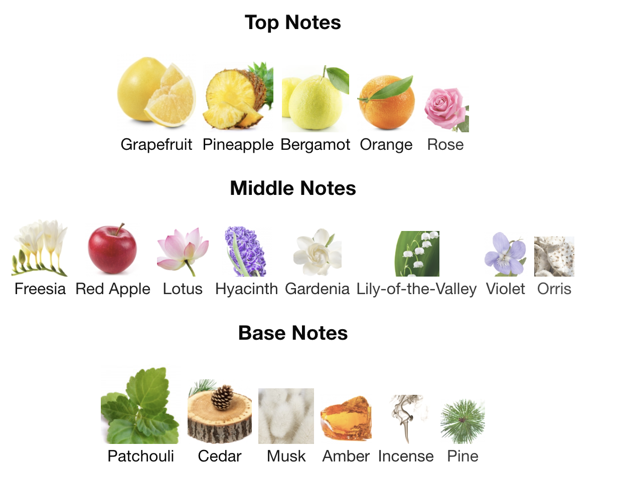 WOMEN-S113 INSPIRED BY ZEN SHISEIDO