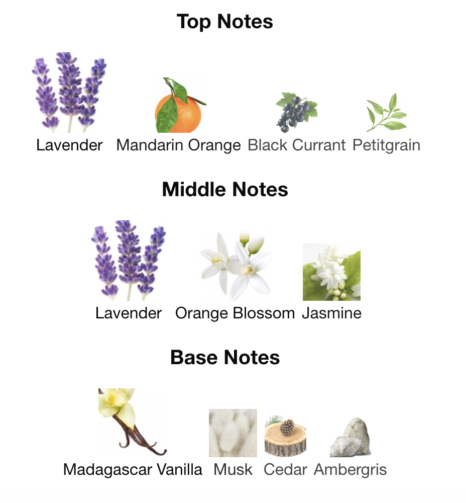 WOMEN-S117 INSPIRED BY LIBRE YVES SAINT LAURENT 