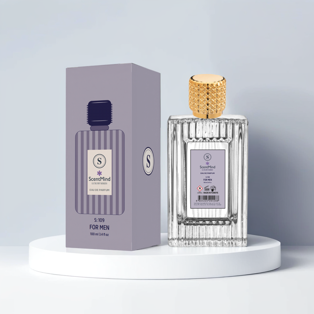 ERKEK-S109 INSPIRED BY INVICTUS RABANNE (100 ML)