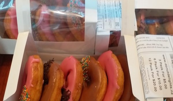 15 Pack Iced Fresh Donuts