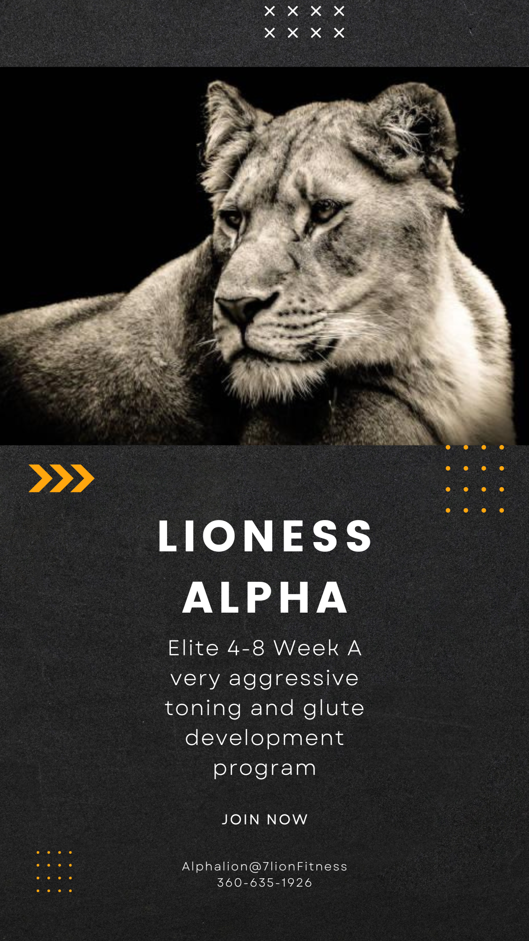 Lioness Alpha is a very aggressive intense 4-8 week toning and glute development program 