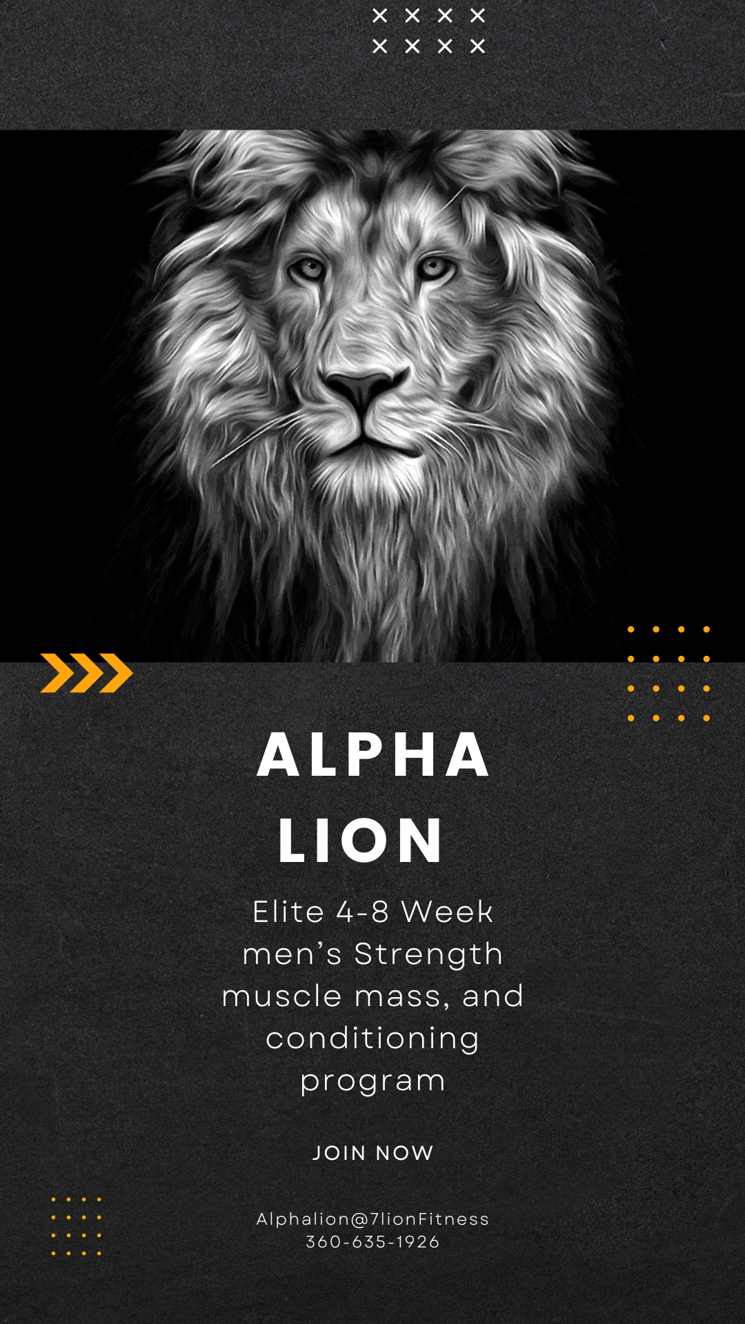 Alpha Lion is our elite 4-8 week men's strength, muscle mass, and conditioning program.