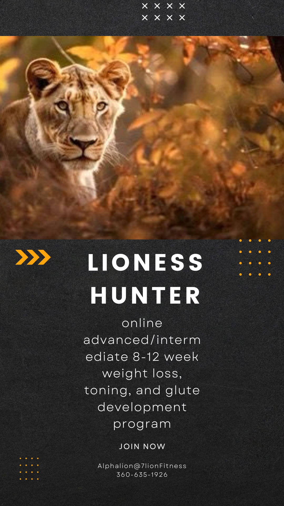 Lioness Hunter is our online advanced/intermediate 8-12 week weight loss, toning, and glute development program!