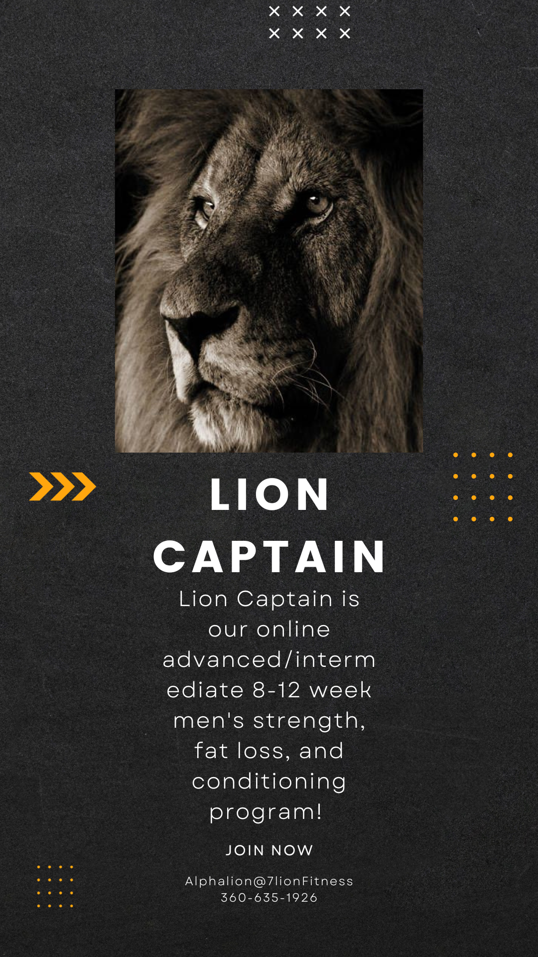 Lion Captain is our online advanced/intermediate 8-12 week men's strength, fat loss, and conditioning program