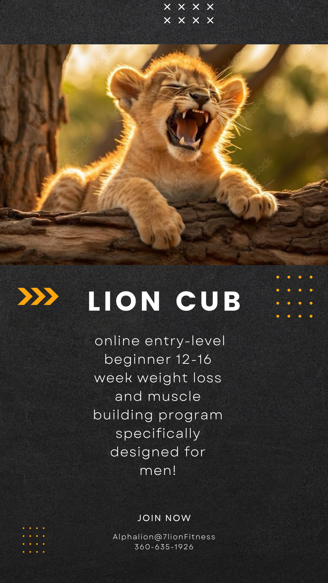Lion cub is an online entry-level beginner 12-16 week weight loss and muscle building program specifically designed for men