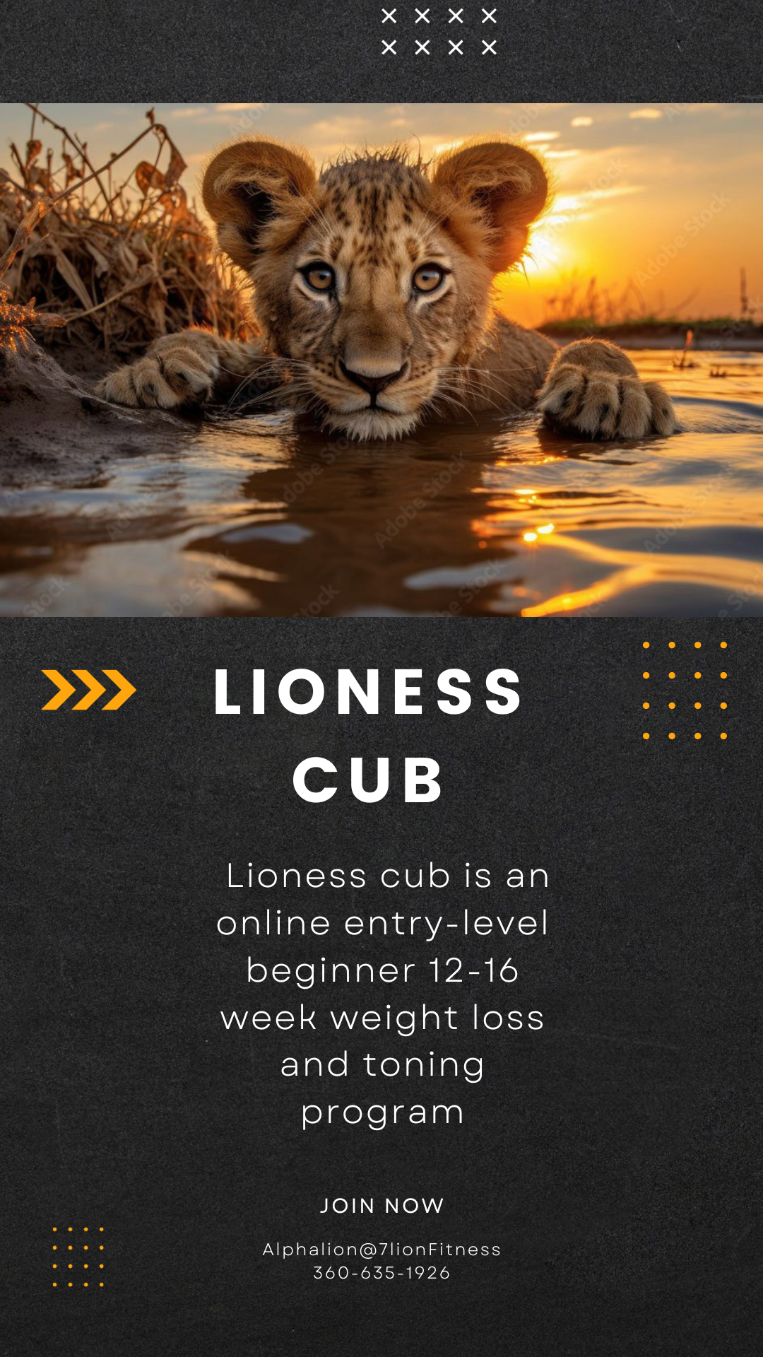 Lioness cub is an online entry-level beginner 12-16 week weight loss and toning program