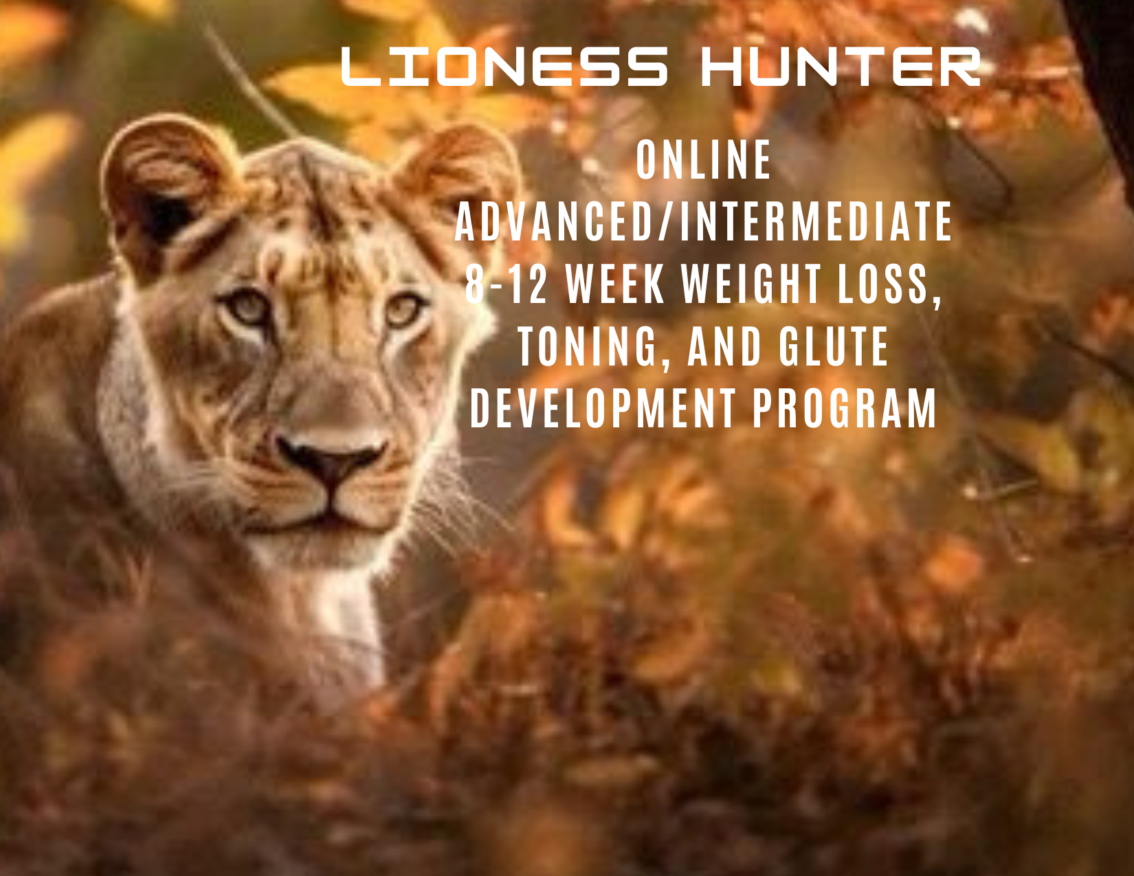 Lioness Hunter is our online advanced/intermediate 8-12 week weight loss, toning, and glute development program!