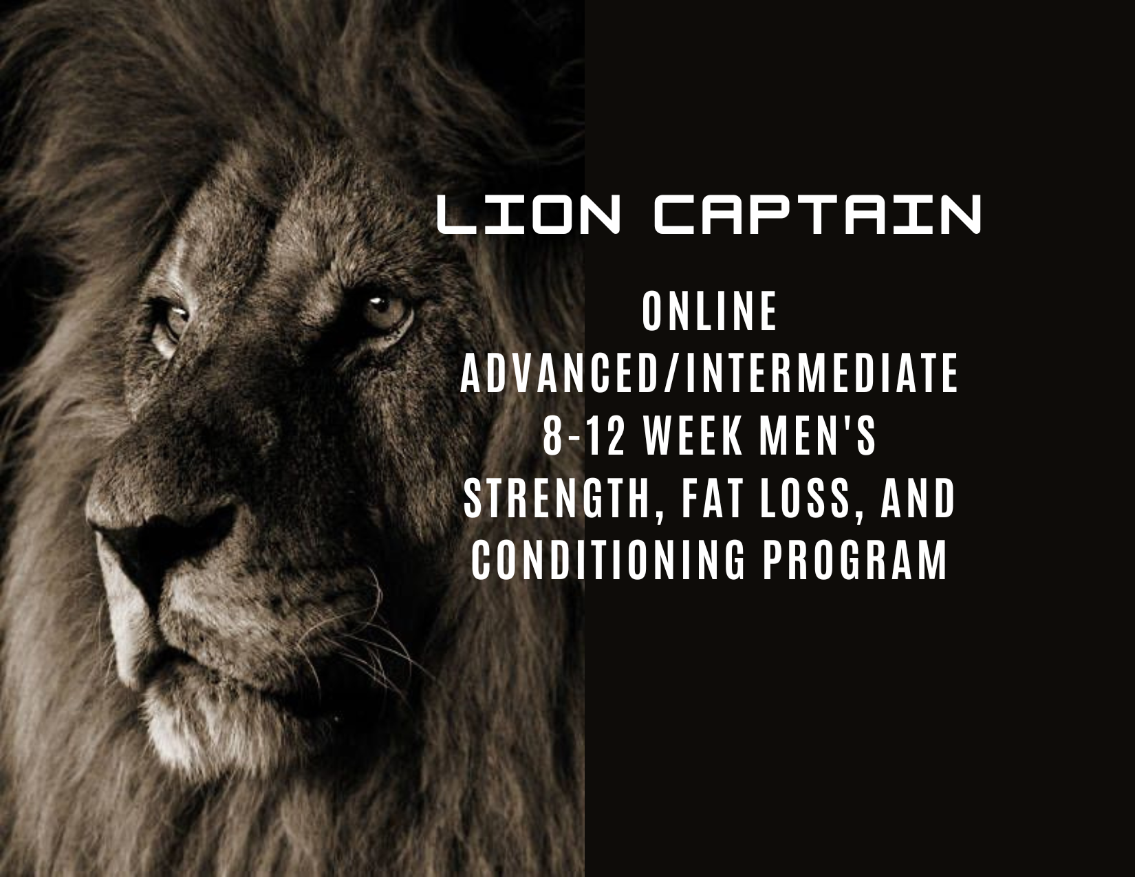 Lion Captain is our online advanced/intermediate 8-12 week men's strength, fat loss, and conditioning program