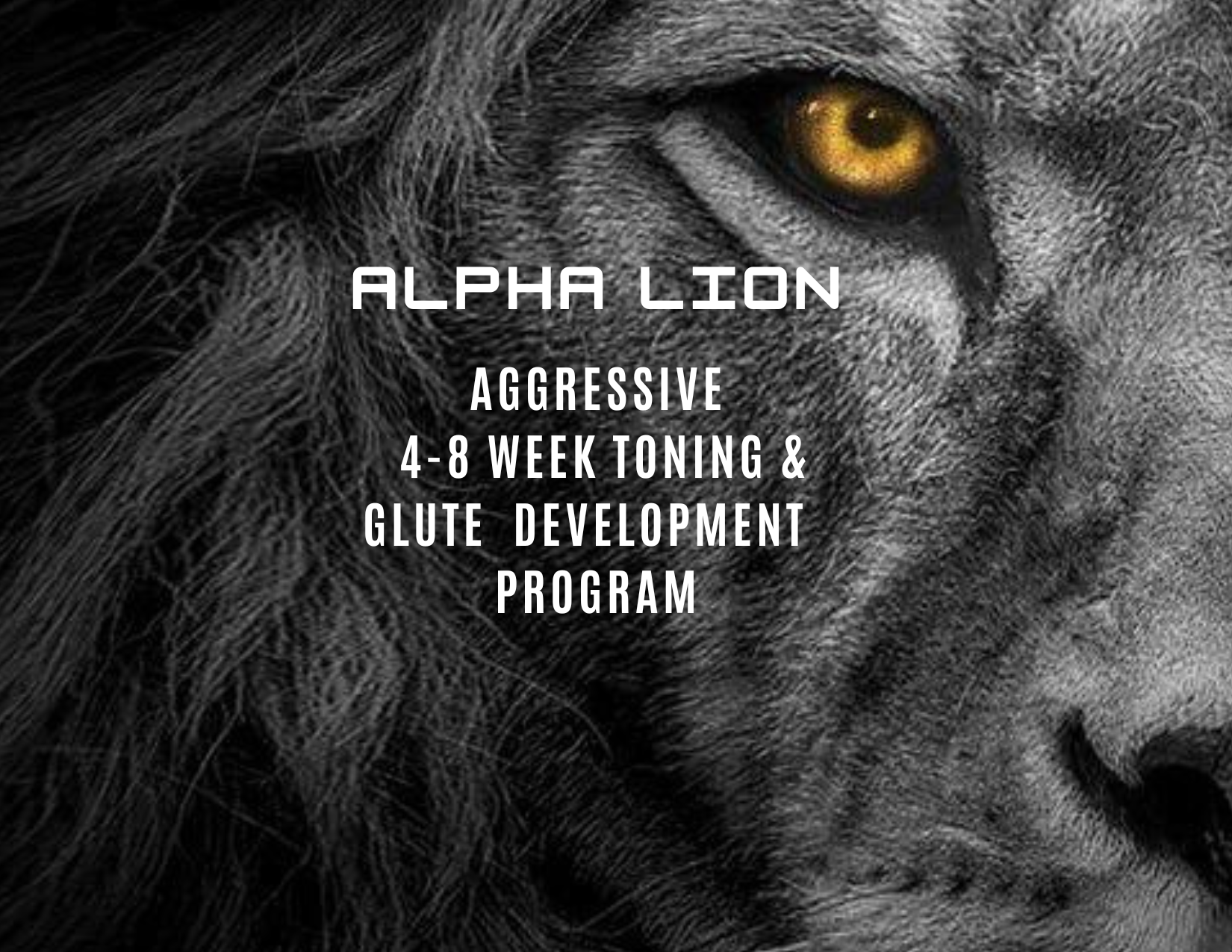 Alpha Lion is our elite 4-8 week men's strength, muscle mass, and conditioning program.