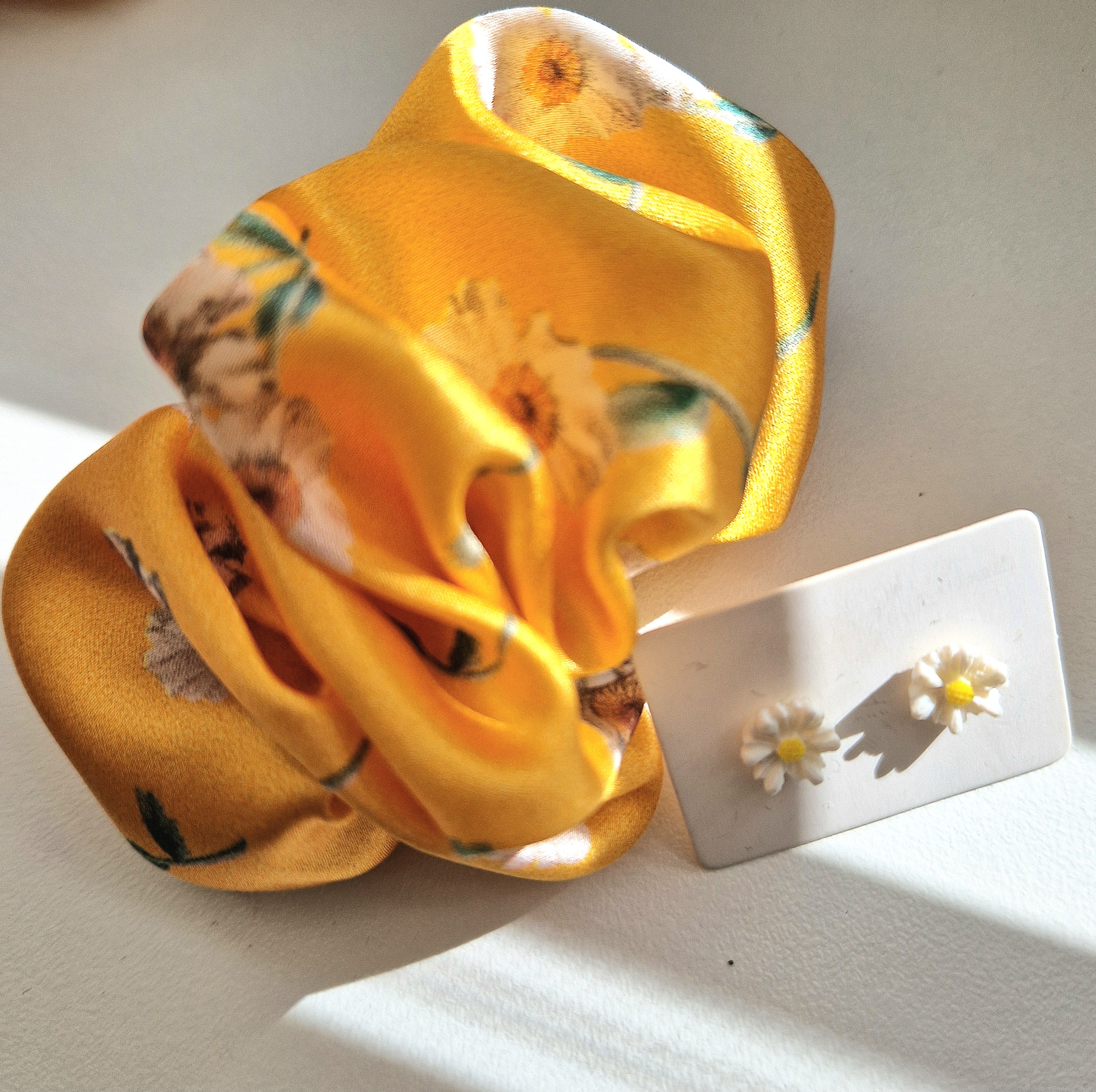 Segtukas ir auskarai