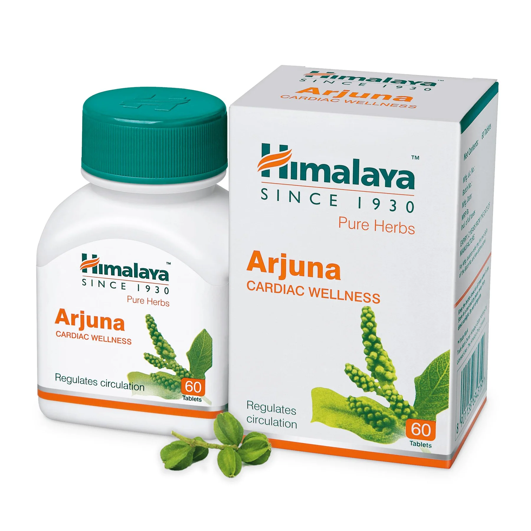 Arjuna