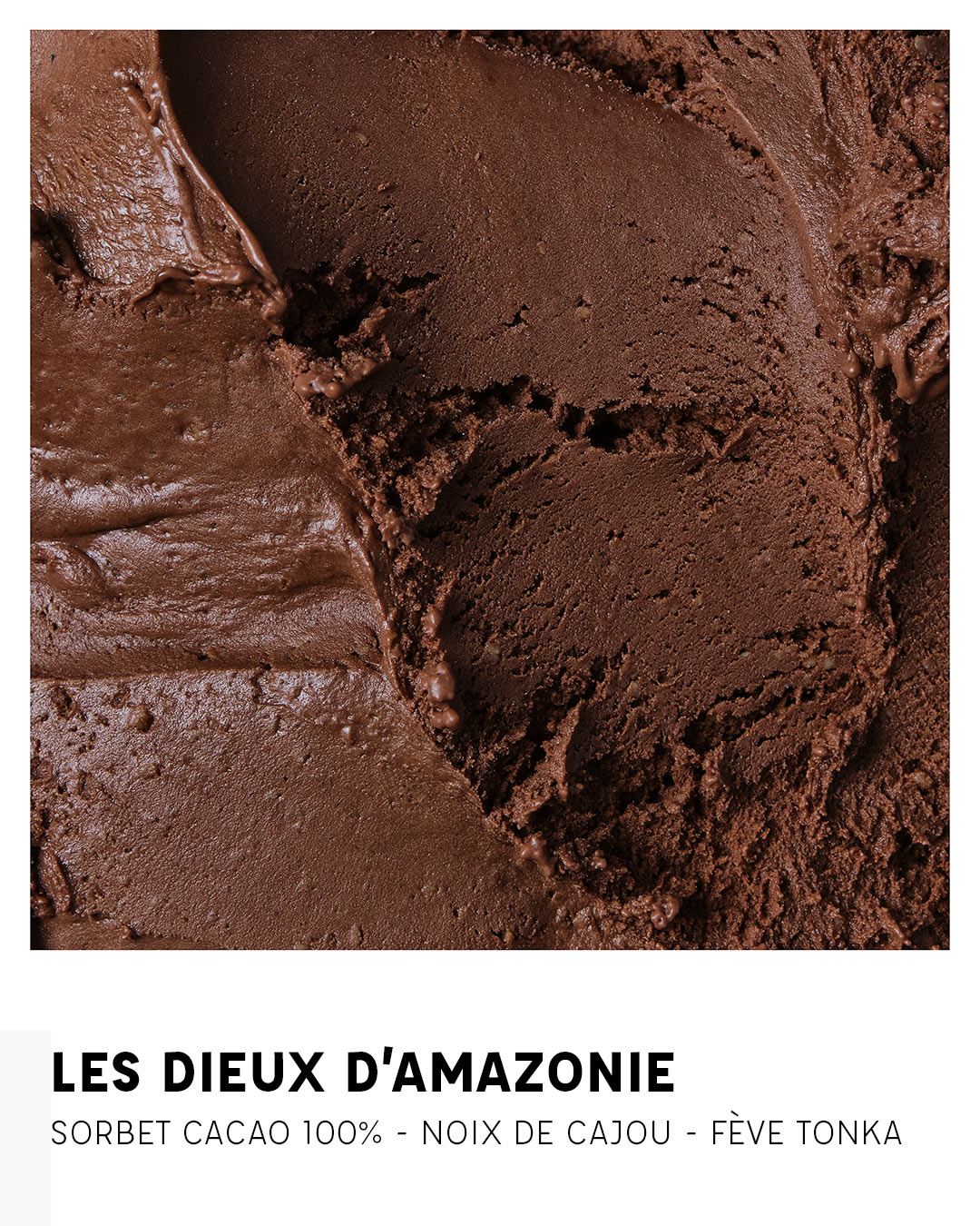 Dieux d'Amazonie : Cacao, Cajou, Tonka