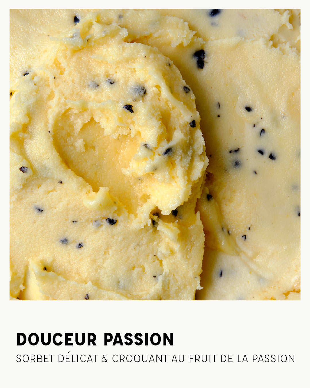 Douceur Passion
